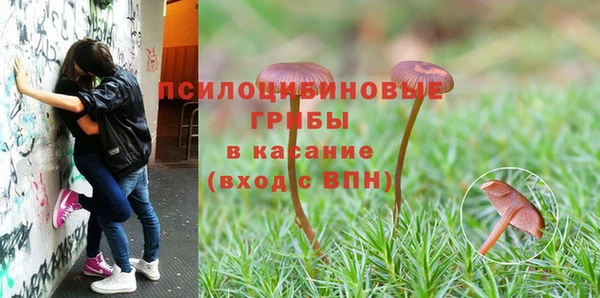 винт Верхний Тагил