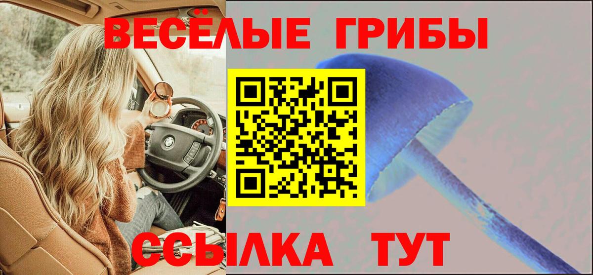 Дальнереченск  Псилоцибиновые грибы Magic Shrooms  Вход с VPN 